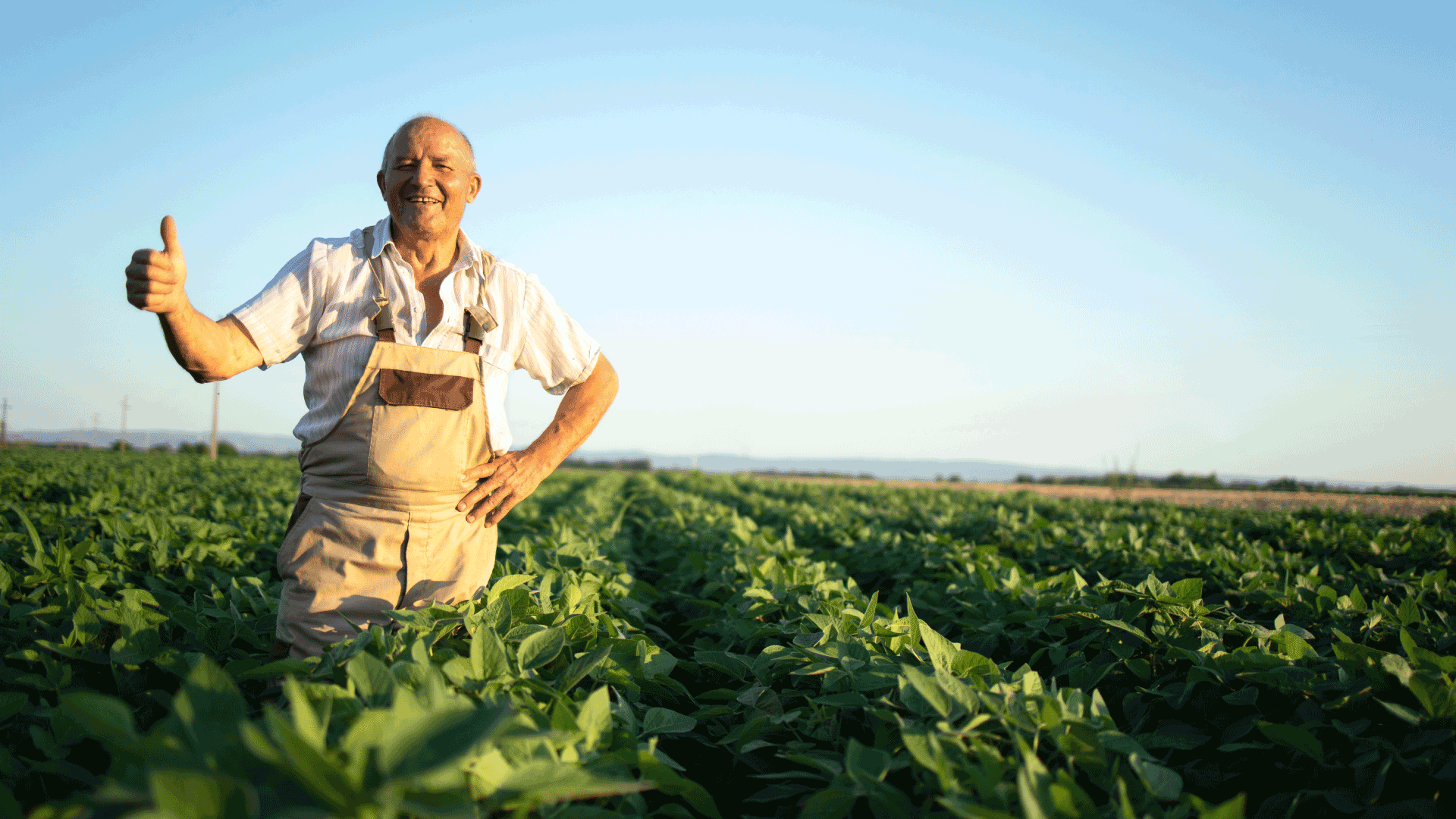 Yerel Çiftçilik ve Berrak’ın İş Birliği: Sürdürülebilir Bir Ekosistem
