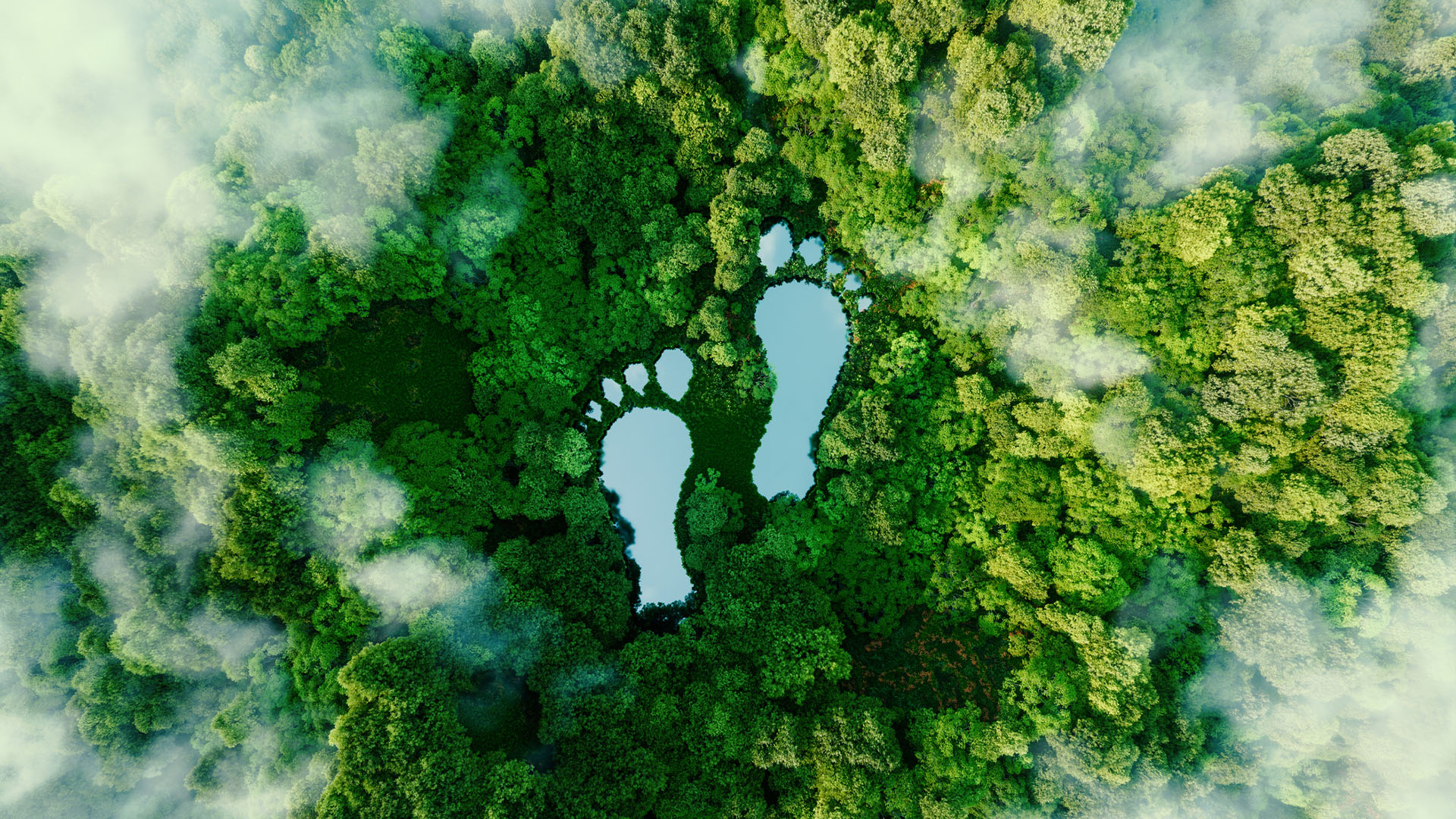 Berrak’s Carbon Footprint Reduction Strategies