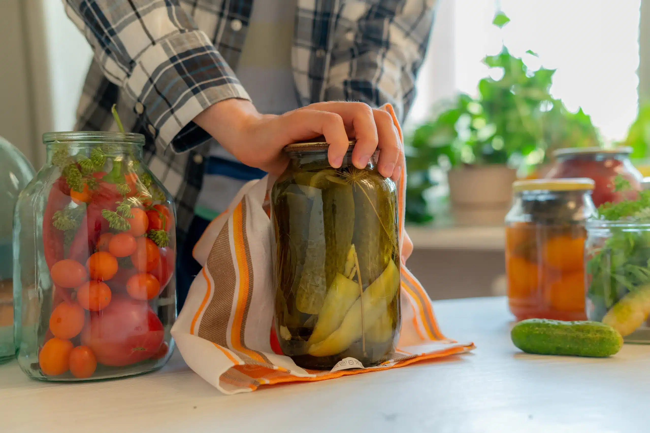 Seasonal Pickles: Unique Fermented Flavors for Every Season
