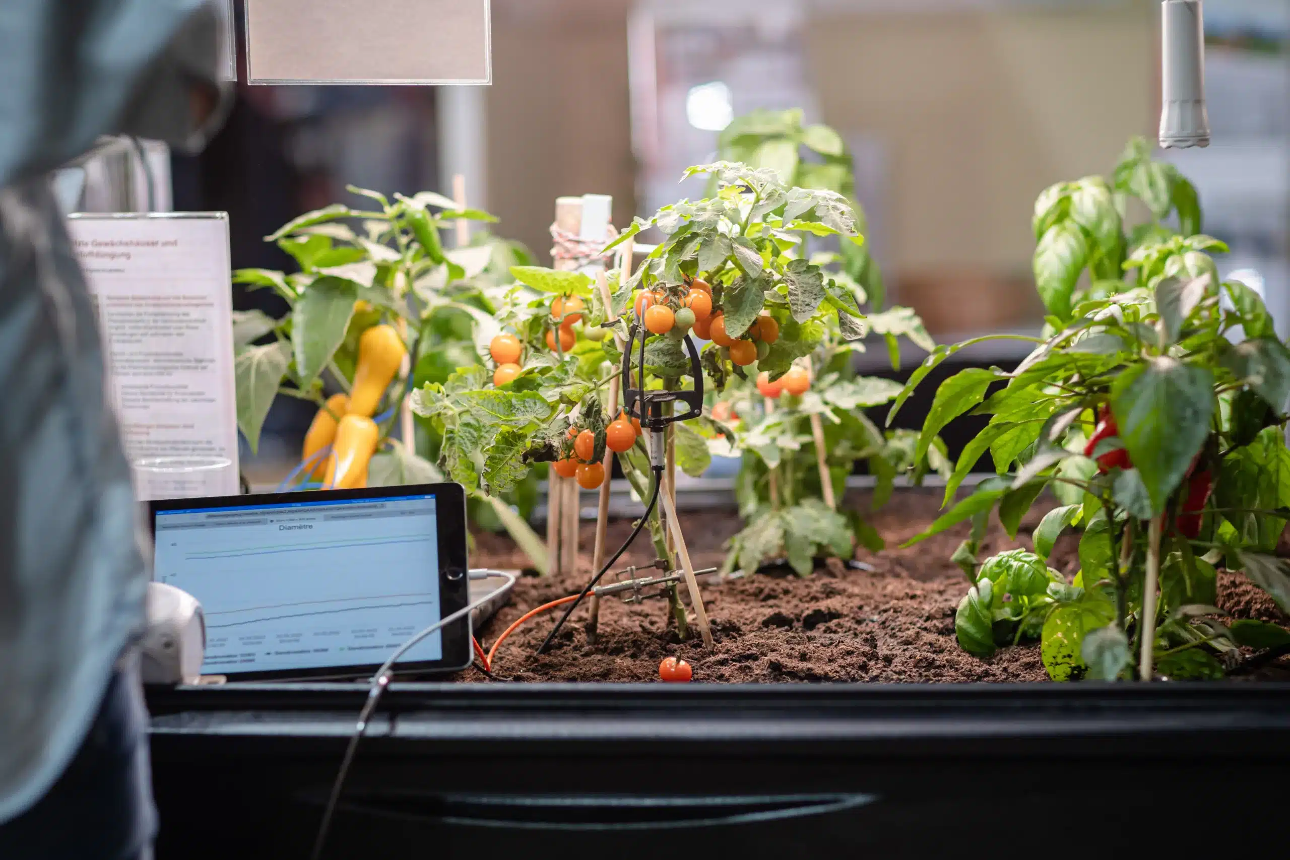Smart Farm Diaries: From Sensor-Monitored Vegetables to Jars