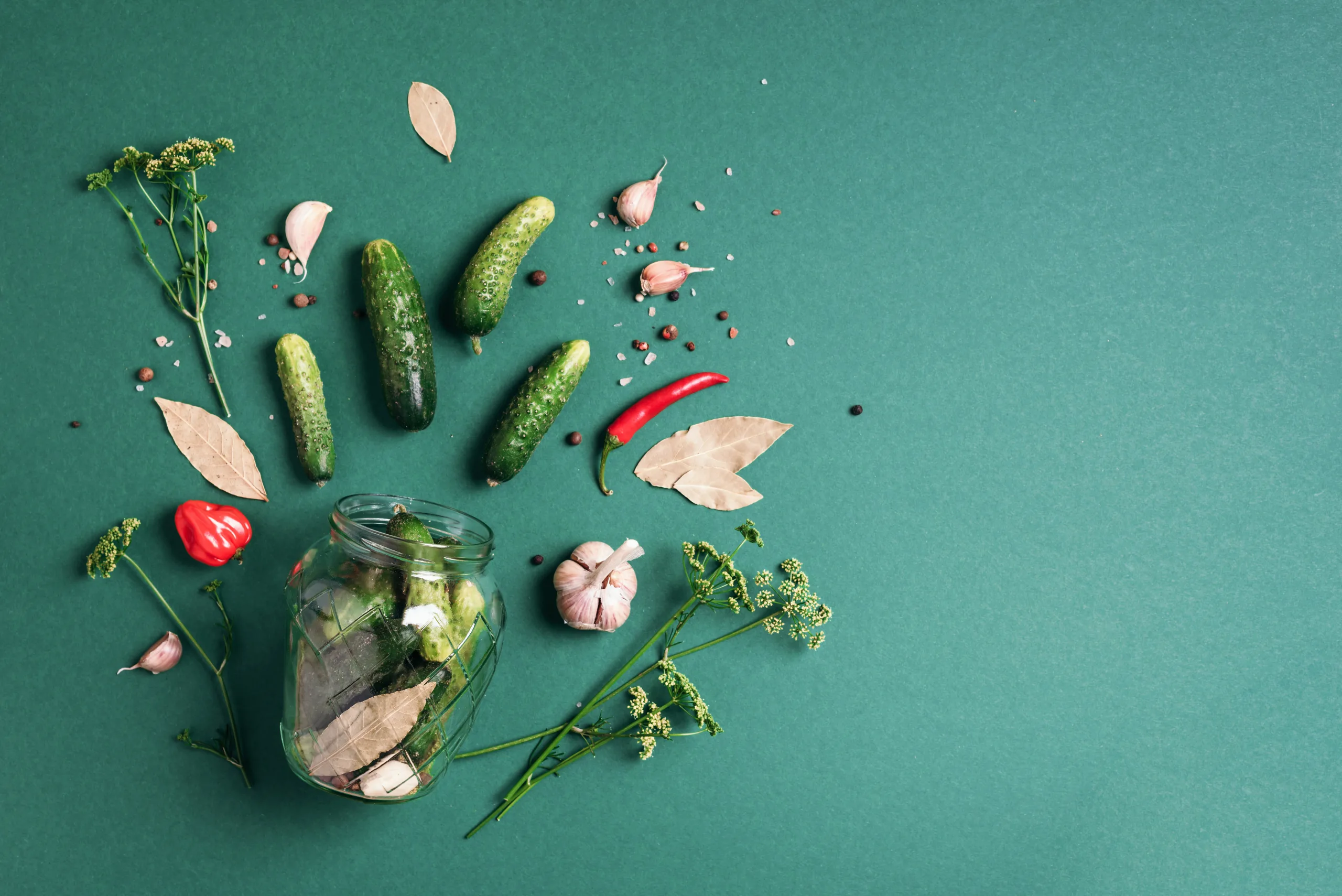 A Quiet Revolution on the Table: Next-Generation Presentations of Fermented Foods