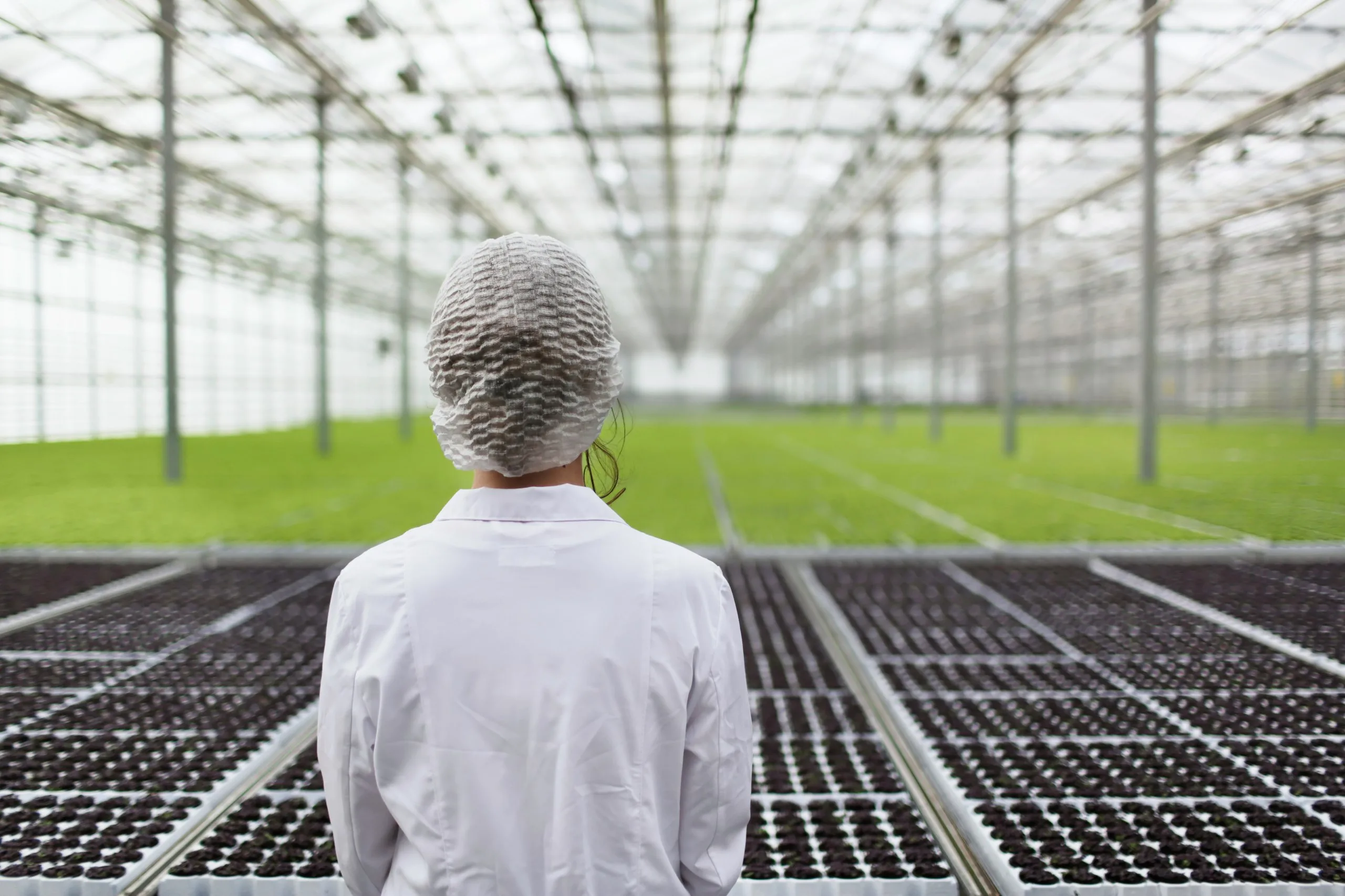 The Silent Revolution in Agriculture: Saving the Future of Soil with Regenerative Practices