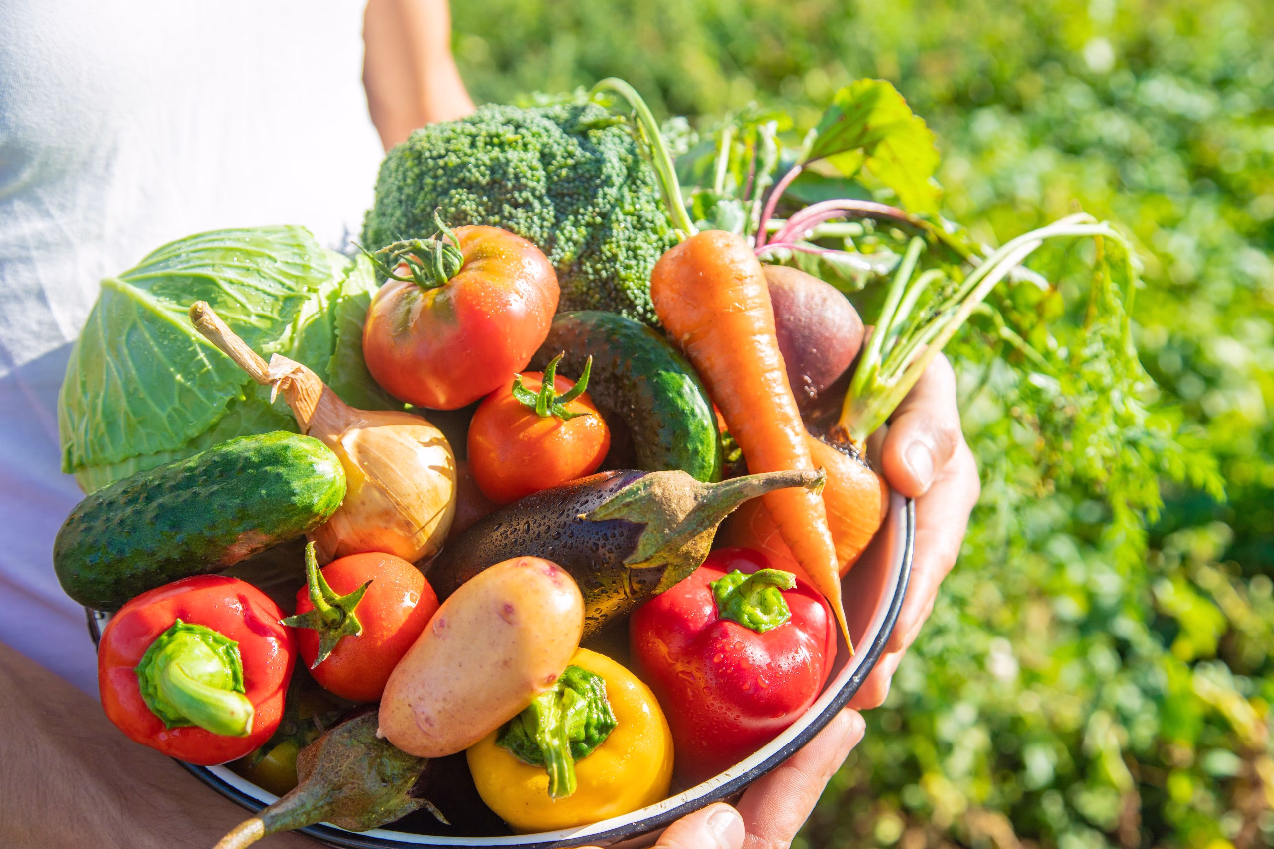 What Does Climate-Resilient Food Mean? Which Products Will Be on Our Tables in the Future?